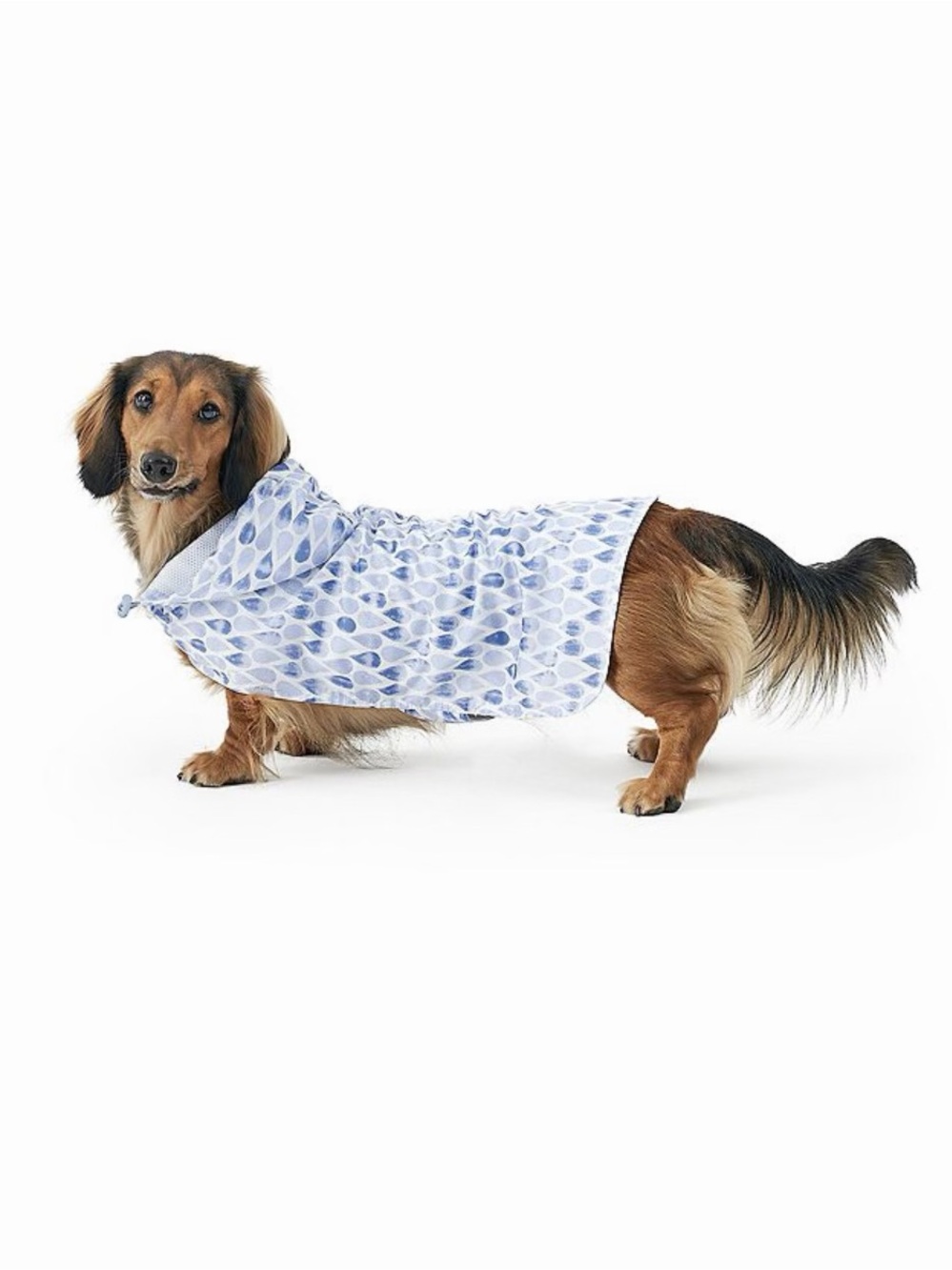 Blue York Pet Raincoat Hooded